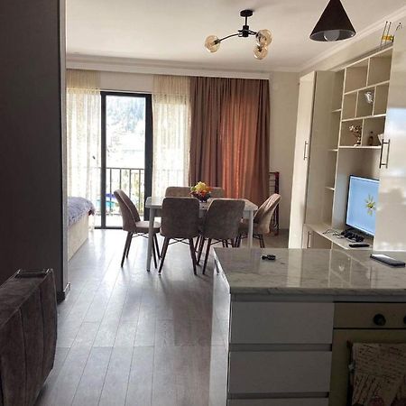 Vitali Apartment Bordjomi Extérieur photo