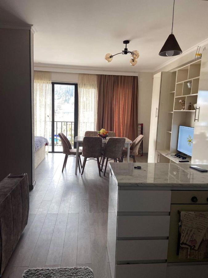 Vitali Apartment Bordjomi Extérieur photo